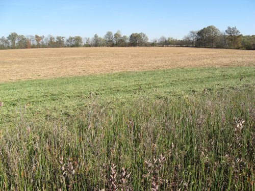 Property photo 3 - 110+/- Acres offered in 4 Tillable Tracts